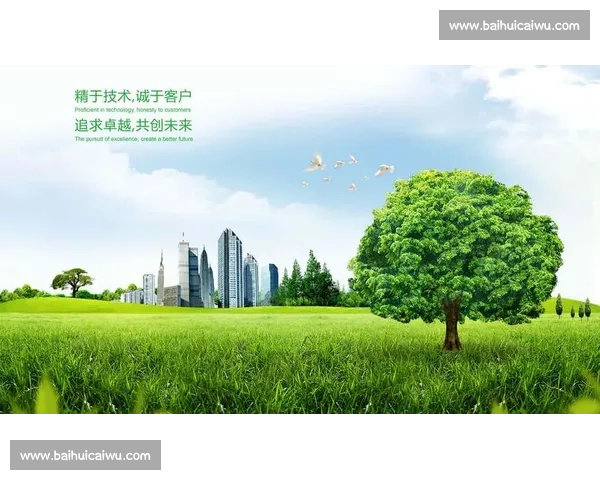 亚洲特别vs引领区域合作新格局共创未来发展新机遇与繁荣愿景图